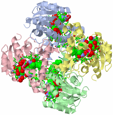 Image Asym./Biol. Unit - sites