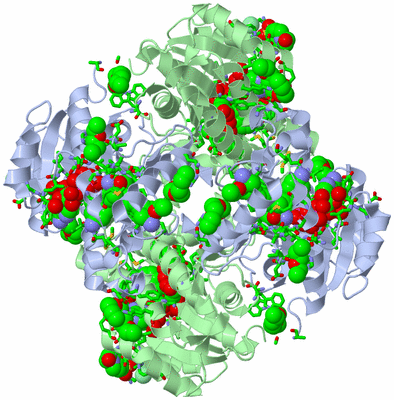 Image Biol. Unit 1 - sites