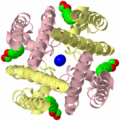 Image Biological Unit 2