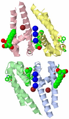 Image Asym. Unit - sites