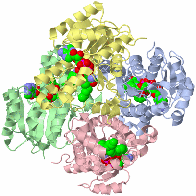 Image Asym./Biol. Unit