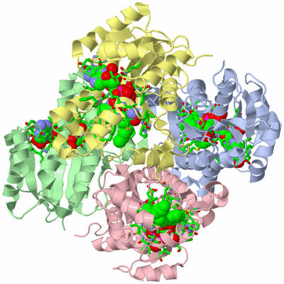 Image Asym./Biol. Unit - sites