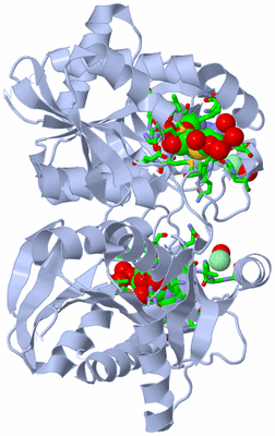 Image Biol. Unit 1 - sites