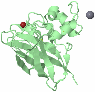 Image Biological Unit 2