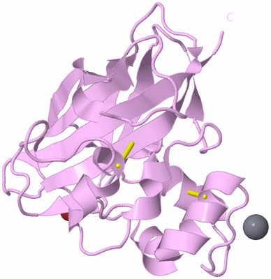 Image Biological Unit 5