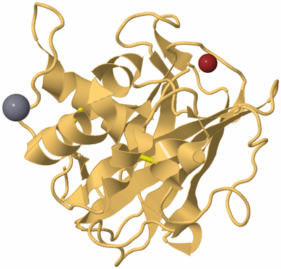 Image Biological Unit 7