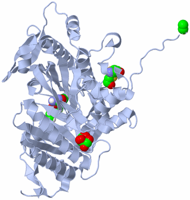 Image Biological Unit 1