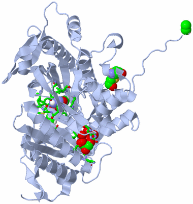 Image Biol. Unit 1 - sites