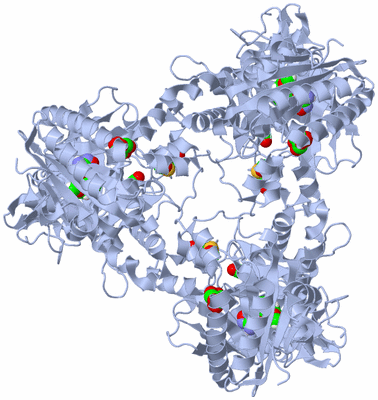 Image Biological Unit 2