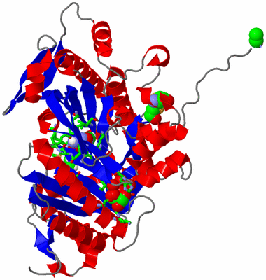 Image Asym. Unit - sites