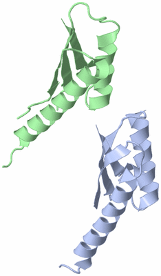 Image Asymmetric Unit