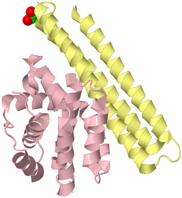 Image Biological Unit 2