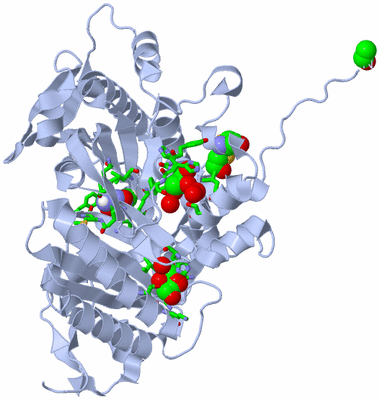 Image Biol. Unit 1 - sites