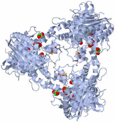 Image Biological Unit 2