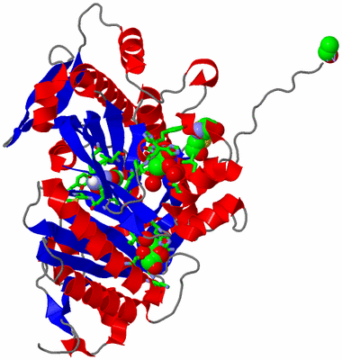 Image Asym. Unit - sites