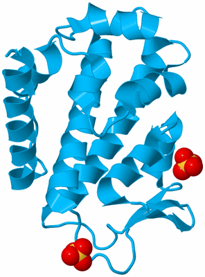 Image Biological Unit 10