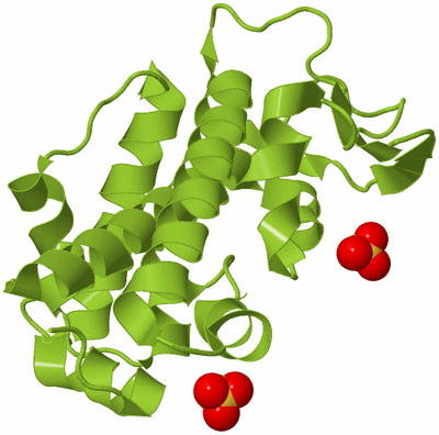 Image Biological Unit 13