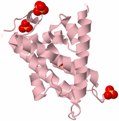 Image Biological Unit 3