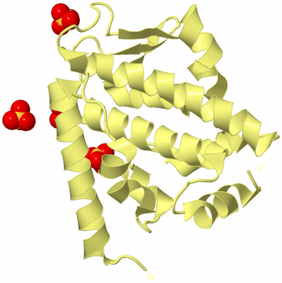 Image Biological Unit 4