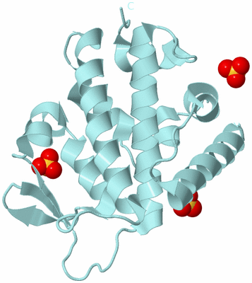 Image Biological Unit 6