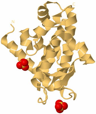 Image Biological Unit 7