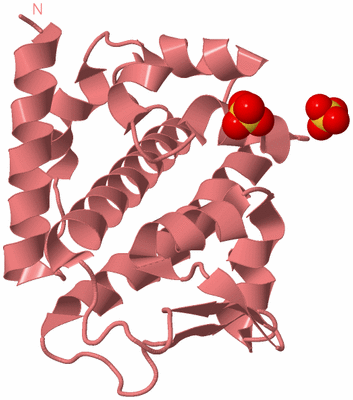 Image Biological Unit 8