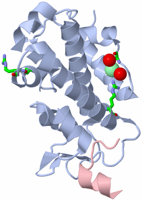 Image Biol. Unit 1 - sites