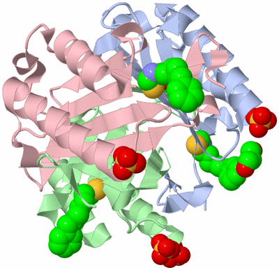 Image Asym./Biol. Unit