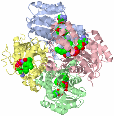 Image Asym./Biol. Unit