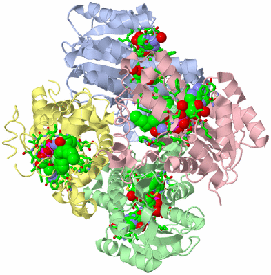 Image Asym./Biol. Unit - sites