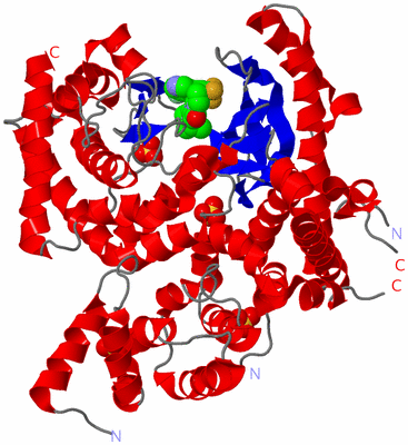 Image Asym./Biol. Unit