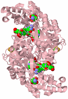 Image Biological Unit 2