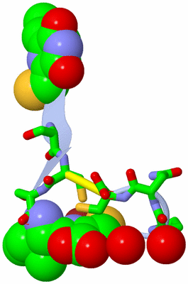 Image Biol. Unit 1 - sites