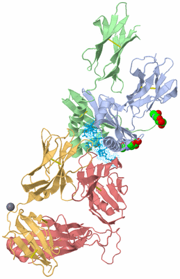 Image Biological Unit 1