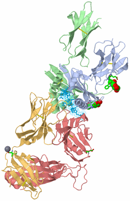 Image Biol. Unit 1 - sites