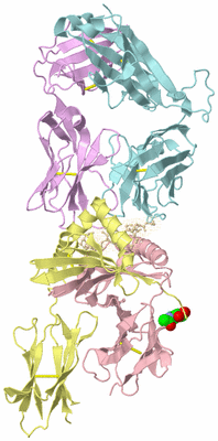 Image Biological Unit 2