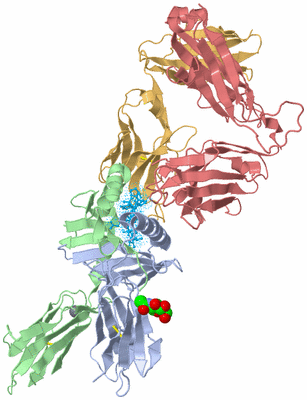 Image Biological Unit 1