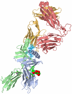 Image Biol. Unit 1 - sites