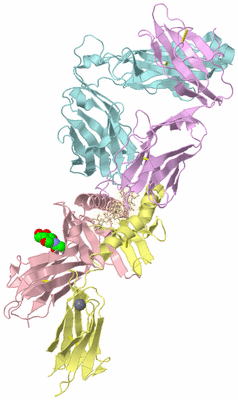 Image Biological Unit 2