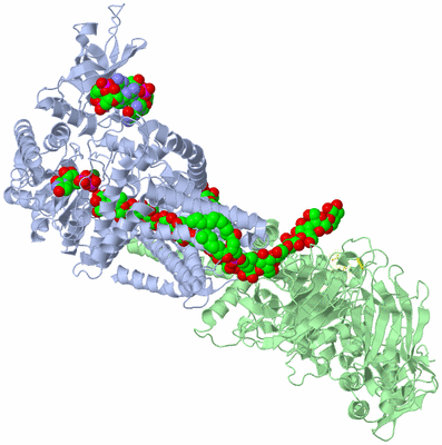 Image Asym./Biol. Unit