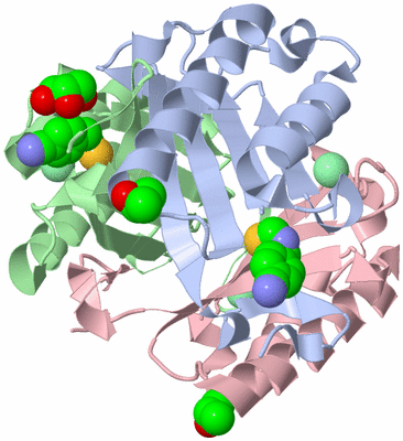 Image Asym./Biol. Unit