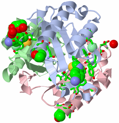 Image Asym./Biol. Unit - sites