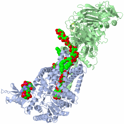 Image Asym./Biol. Unit