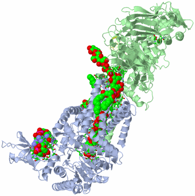 Image Asym./Biol. Unit - sites