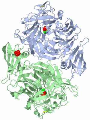 Image Asym./Biol. Unit