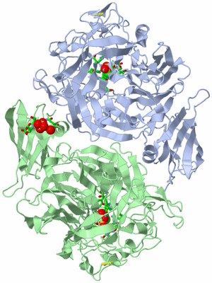 Image Asym./Biol. Unit - sites