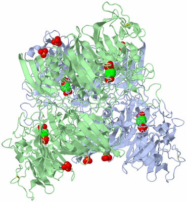 Image Biological Unit 2