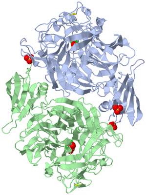 Image Biological Unit 1