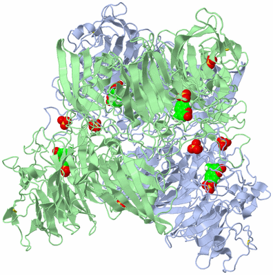 Image Biological Unit 2