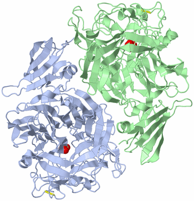 Image Biological Unit 1